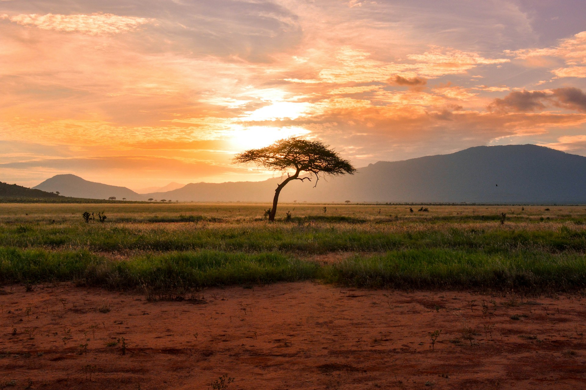 African landscape under a wide open sky